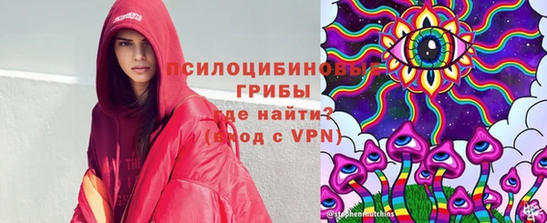 крисы Алексеевка