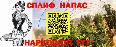 СК Ирбит
