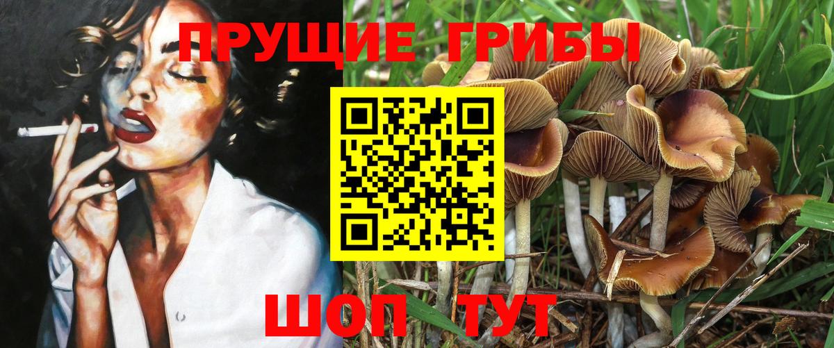 Глазов  Псилоцибиновые грибы Magic Shrooms  даркнет сайт  Вход с VPN 
